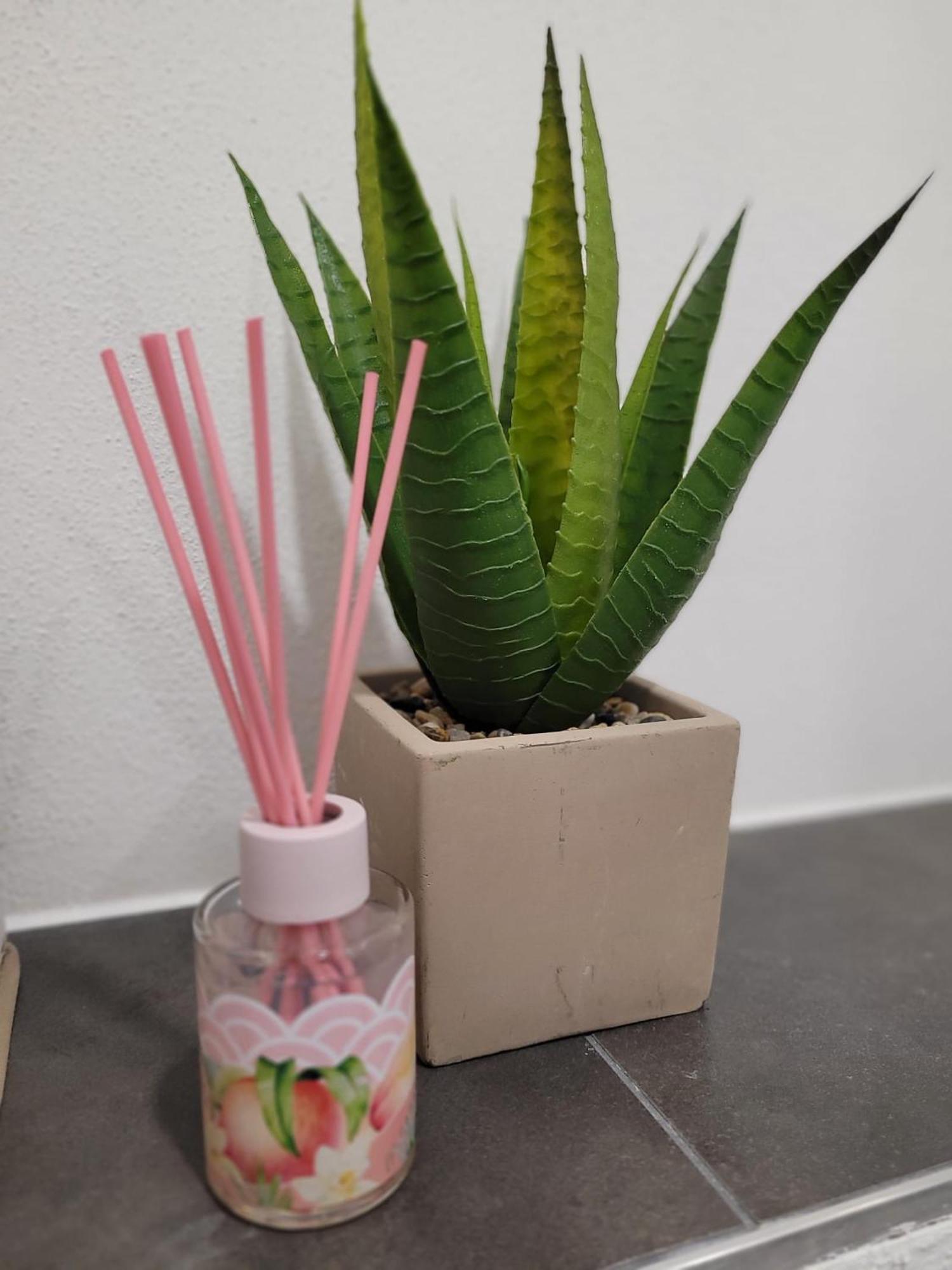 Grosszuegiges Appartement In Der Festspielstadt Bad Hersfeld Ngoại thất bức ảnh
